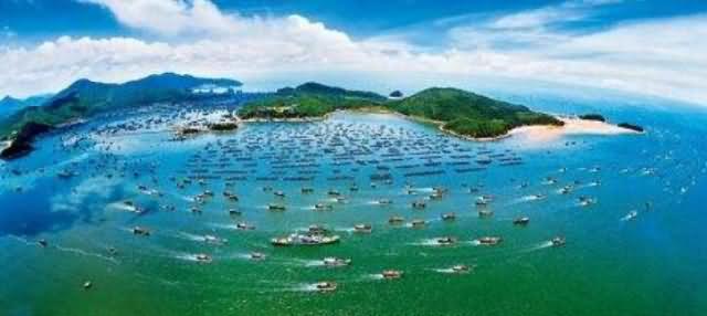 阳江闸坡渔港游艇码头设计方案
