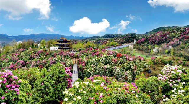 严峻疫情形势下，贵州是怎么做好文旅规划的？